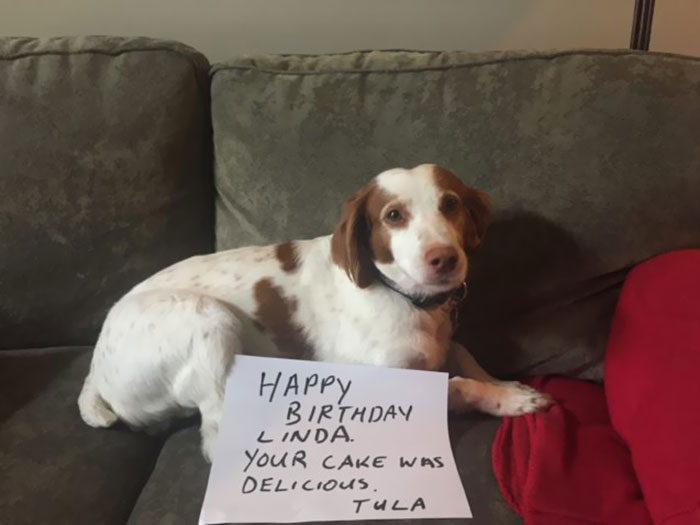 Happy Birthday, Linda