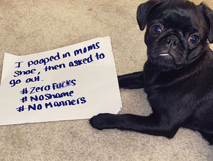 Also, That Is A Little Piece Of Her Shame Sign In Her Mouth