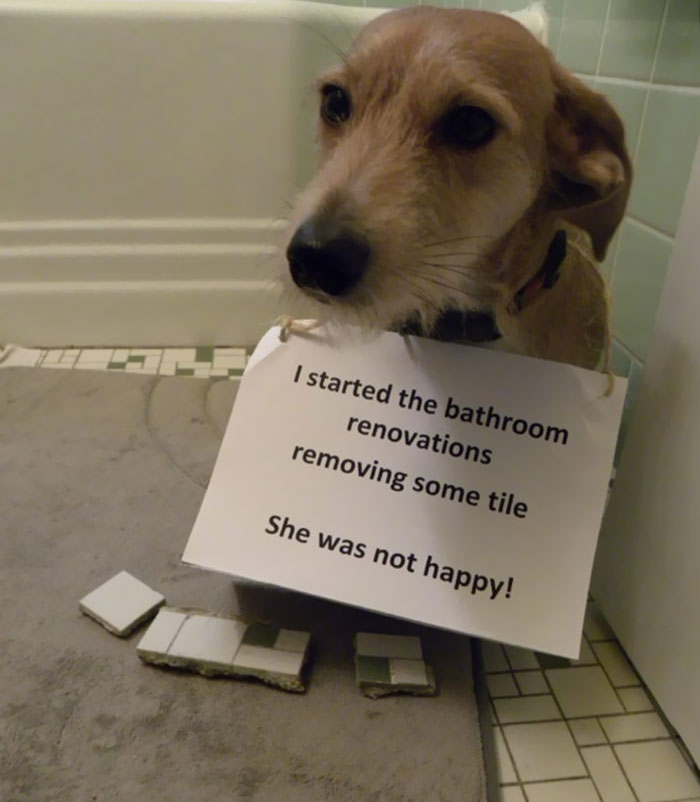 Jack-Hammer Renovations