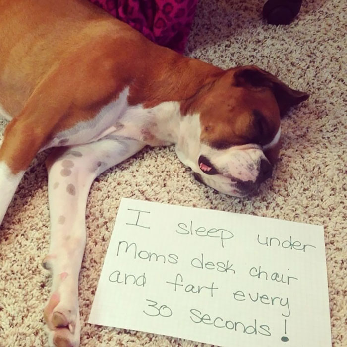 She’s Hot-Boxering Me