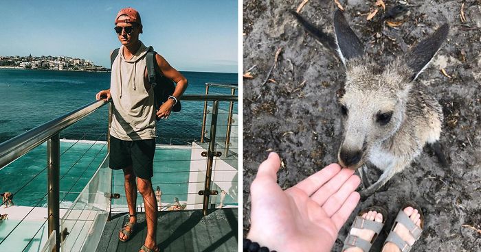 Man Gets Drunk On New Year’s Eve And Adopts A Baby Kangaroo, Realizes It Months Later