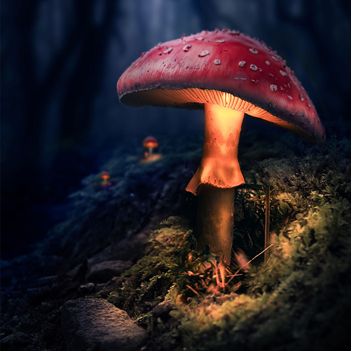 I Developed My Own Editing Style That Makes The World Look Magical (49 Pics)