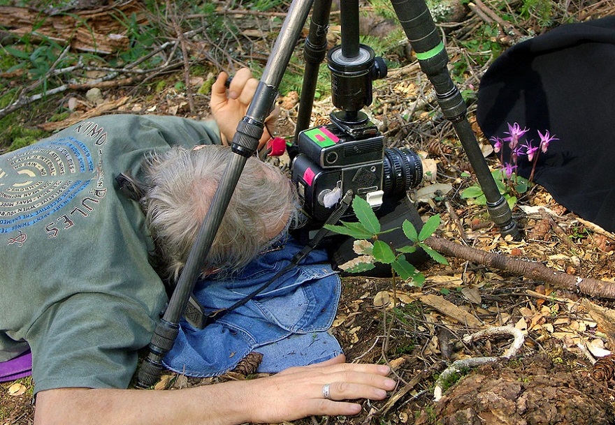 Here Are Our 28 Favorite Pics From Our Book About Wildflower Fields In California And Elsewhere