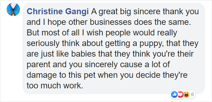 Pizza Place Helps Local Shelter Get Dogs Adopted By Putting Their Photos On Pizza Boxes