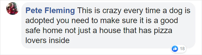 Pizza Place Helps Local Shelter Get Dogs Adopted By Putting Their Photos On Pizza Boxes Pizza Place Helps Local Shelter Get Dogs Adopted By Putting Their Photos On Pizza Boxes