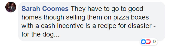 Pizza Place Helps Local Shelter Get Dogs Adopted By Putting Their Photos On Pizza Boxes