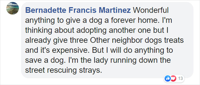 Pizza Place Helps Local Shelter Get Dogs Adopted By Putting Their Photos On Pizza Boxes