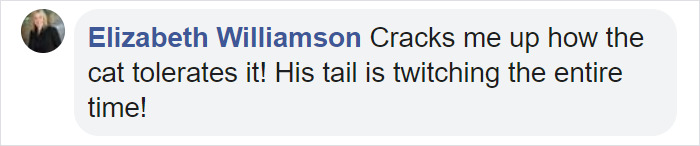 Viral Video Shows Adorable Moment When A Puppy Cuddles Up To A Kitten Viral Video Shows Adorable Moment When A Puppy Cuddles Up To A Kitten