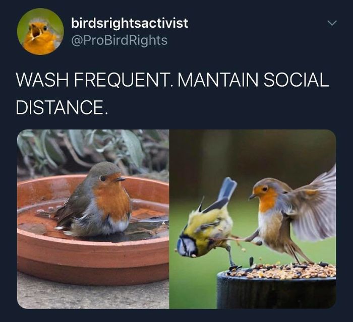 Quarantine-Coronavirus-Jokes-Memes