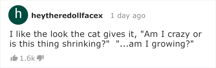 Owners Keep Reducing The Size Of A Hole For Their Cat To See When It Will Finally Stop Him Owners Keep Reducing The Size Of A Hole For Their Cat To See When It Will Finally Stop Him