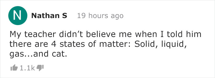 Owners Keep Reducing The Size Of A Hole For Their Cat To See When It Will Finally Stop Him Owners Keep Reducing The Size Of A Hole For Their Cat To See When It Will Finally Stop Him