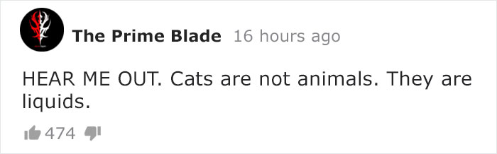 Owners Keep Reducing The Size Of A Hole For Their Cat To See When It Will Finally Stop Him Owners Keep Reducing The Size Of A Hole For Their Cat To See When It Will Finally Stop Him