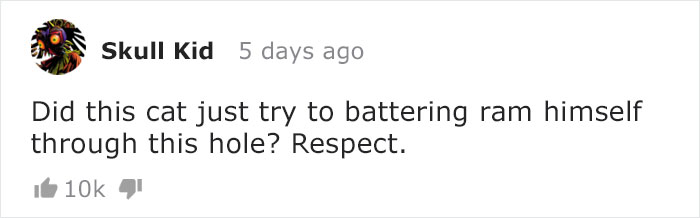 Owners Keep Reducing The Size Of A Hole For Their Cat To See When It Will Finally Stop Him