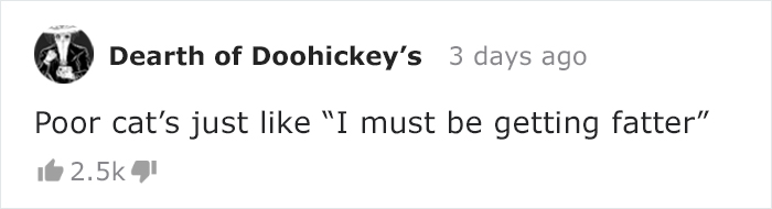 Owners Keep Reducing The Size Of A Hole For Their Cat To See When It Will Finally Stop Him