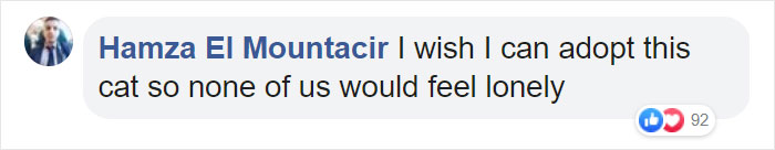 Shelter Workers Organize This Cat’s Birthday Hoping Someone Will Adopt Her, But No One Turns Up Shelter Workers Organize This Cat’s Birthday Hoping Someone Will Adopt Her, But No One Turns Up