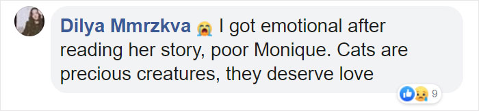 Shelter Workers Organize This Cat’s Birthday Hoping Someone Will Adopt Her, But No One Turns Up Shelter Workers Organize This Cat’s Birthday Hoping Someone Will Adopt Her, But No One Turns Up