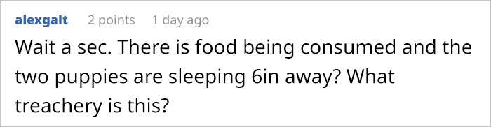 Guy Constructed A Fort For His Stressed Doctor Wife To Relax In After Work During The Pandemic Guy Constructed A Fort For His Stressed Doctor Wife To Relax In After Work During The Pandemic