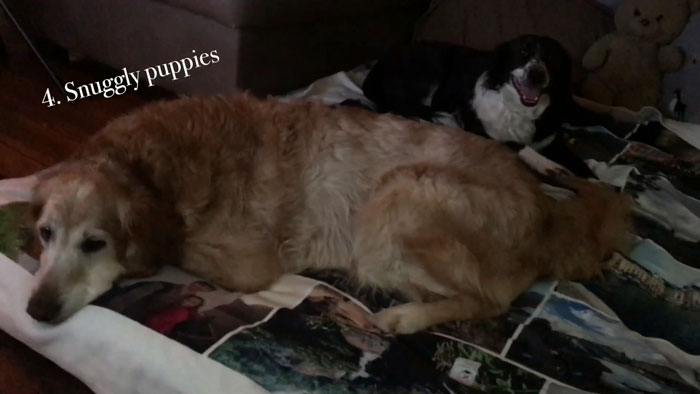 Guy Constructed A Fort For His Stressed Doctor Wife To Relax In After Work During The Pandemic