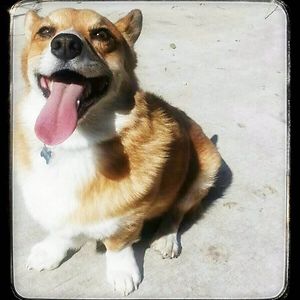 matthew-v-greene avatar