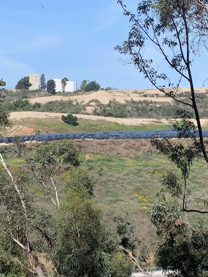 Strange-Structural-Inspections