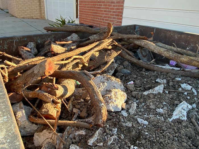 Strange-Structural-Inspections