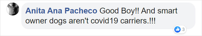 After This Elderly Woman With Respiratory Problems Had To Self-Isolate, Her Neighbor's Dog Started To Deliver Groceries To Her After This Elderly Woman With Respiratory Problems Had To Self-Isolate, Her Neighbor's Dog Started To Deliver Groceries To Her