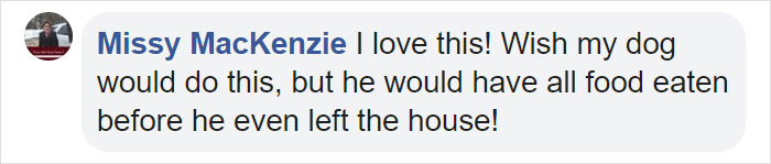 After This Elderly Woman With Respiratory Problems Had To Self-Isolate, Her Neighbor's Dog Started To Deliver Groceries To Her After This Elderly Woman With Respiratory Problems Had To Self-Isolate, Her Neighbor's Dog Started To Deliver Groceries To Her