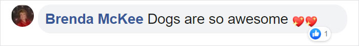 After This Elderly Woman With Respiratory Problems Had To Self-Isolate, Her Neighbor's Dog Started To Deliver Groceries To Her After This Elderly Woman With Respiratory Problems Had To Self-Isolate, Her Neighbor's Dog Started To Deliver Groceries To Her