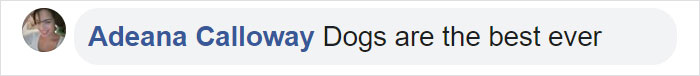 After This Elderly Woman With Respiratory Problems Had To Self-Isolate, Her Neighbor's Dog Started To Deliver Groceries To Her