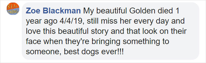 After This Elderly Woman With Respiratory Problems Had To Self-Isolate, Her Neighbor's Dog Started To Deliver Groceries To Her After This Elderly Woman With Respiratory Problems Had To Self-Isolate, Her Neighbor's Dog Started To Deliver Groceries To Her