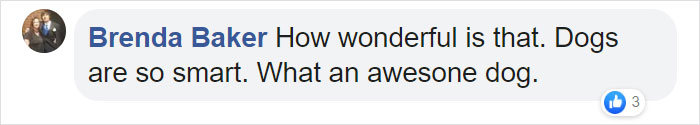 After This Elderly Woman With Respiratory Problems Had To Self-Isolate, Her Neighbor's Dog Started To Deliver Groceries To Her After This Elderly Woman With Respiratory Problems Had To Self-Isolate, Her Neighbor's Dog Started To Deliver Groceries To Her