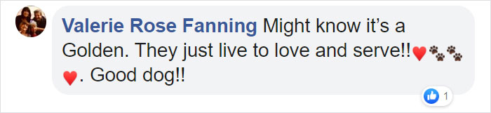 After This Elderly Woman With Respiratory Problems Had To Self-Isolate, Her Neighbor's Dog Started To Deliver Groceries To Her After This Elderly Woman With Respiratory Problems Had To Self-Isolate, Her Neighbor's Dog Started To Deliver Groceries To Her