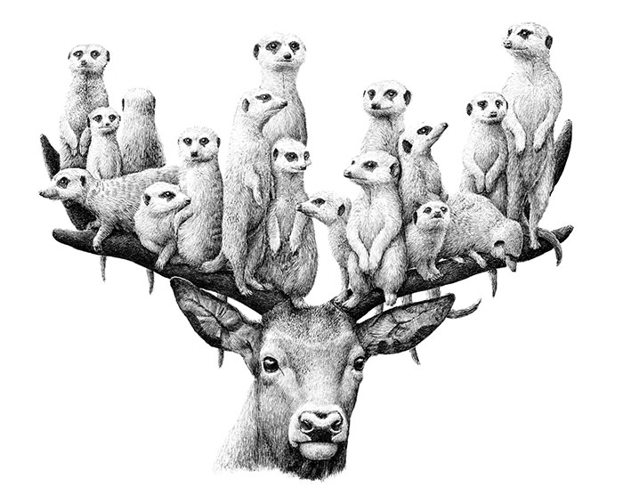 My 70 Drawings That Illustrate The Way My Mind Works