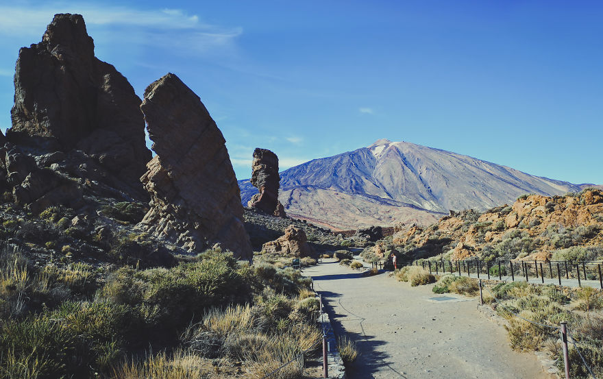 8 Photos Proving The Rich Variety Of Tenerife 8 Photos Proving The Rich Variety Of Tenerife