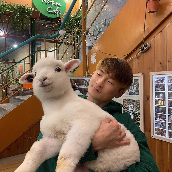 This Sheep Cafe In Korea Shares Viral Photos Of A Sheep Getting Washed This Sheep Cafe In Korea Shares Viral Photos Of A Sheep Getting Washed
