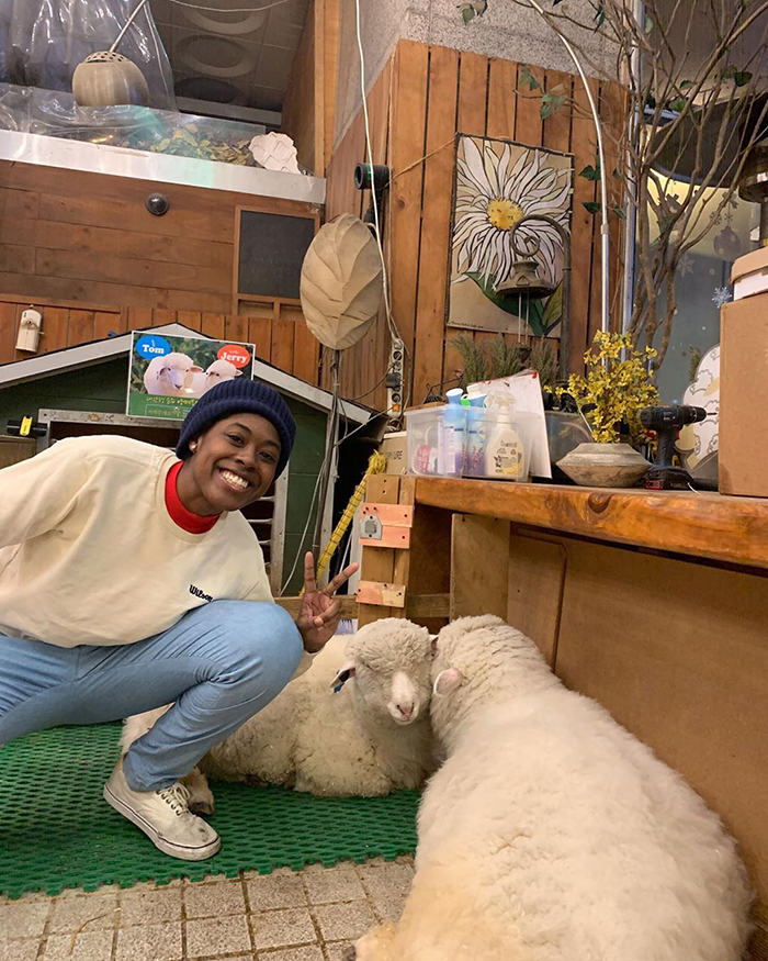 This Sheep Cafe In Korea Shares Viral Photos Of A Sheep Getting Washed This Sheep Cafe In Korea Shares Viral Photos Of A Sheep Getting Washed