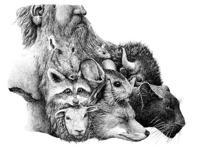 The Way My Mind Works