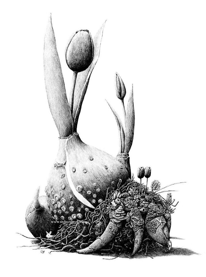 The Way My Mind Works