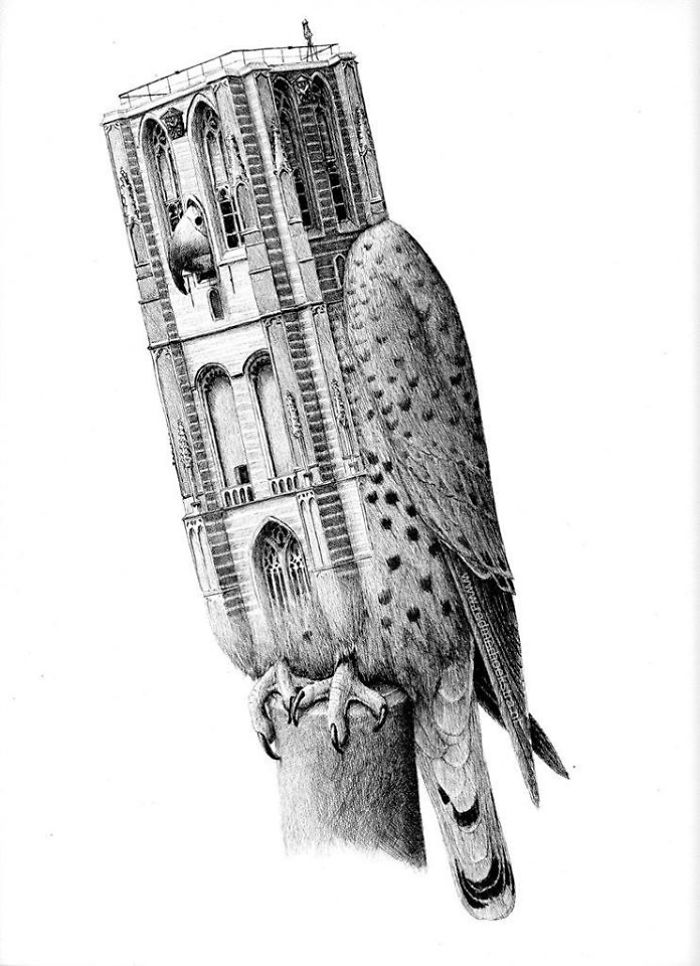 The Way My Mind Works