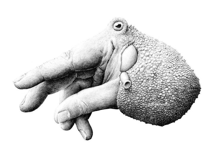 The Way My Mind Works