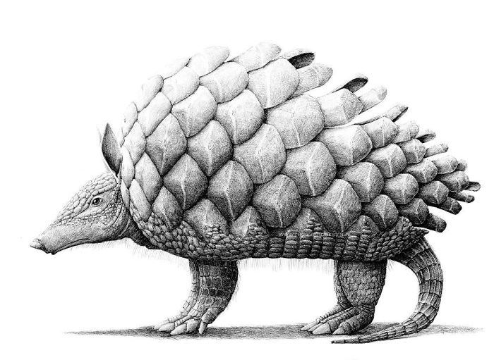 The Way My Mind Works