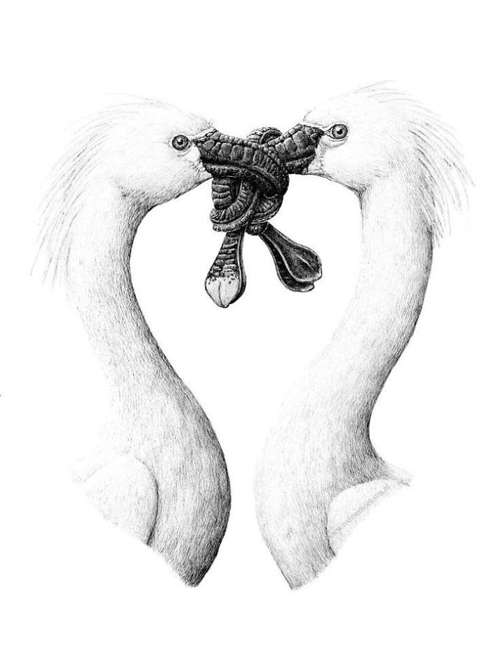 The Way My Mind Works