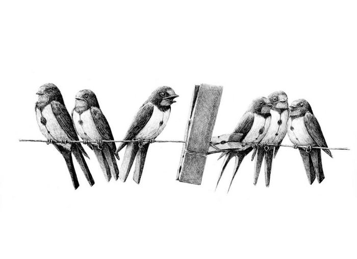 The Way My Mind Works