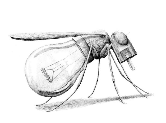 The Way My Mind Works