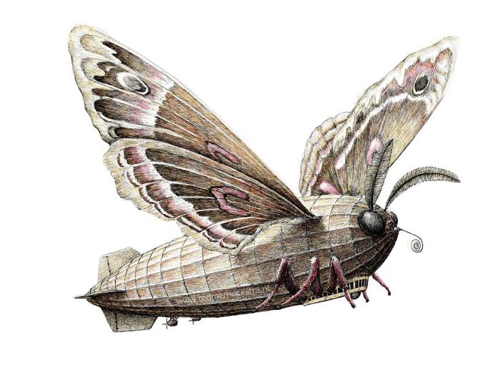 The Way My Mind Works