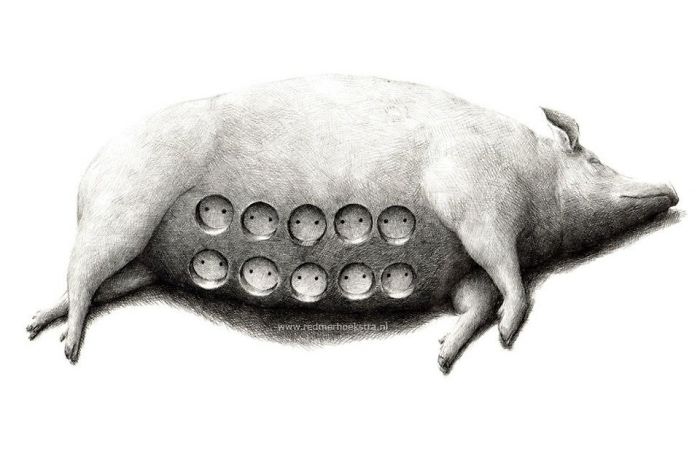 The Way My Mind Works