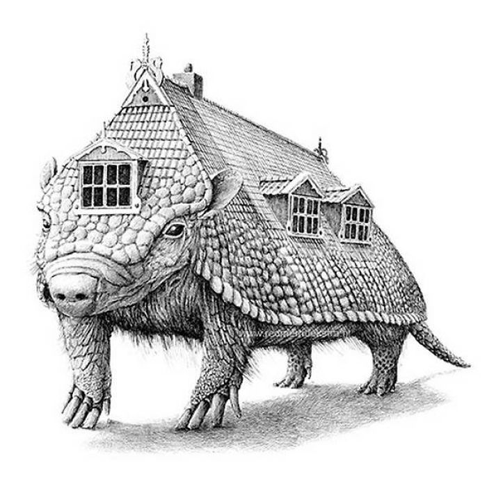 The Way My Mind Works