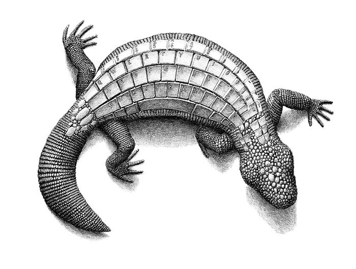 The Way My Mind Works