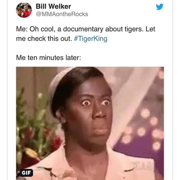 Tiger-King-Joe-TV-Show-Jokes