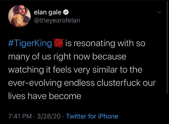 Tiger-King-Joe-TV-Show-Jokes